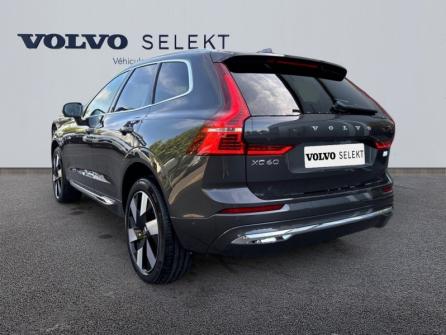 VOLVO XC60 T8 AWD Hybride Rechargeable 310 + 145ch Ultra Style Chrome Geartronic à vendre à Auxerre - Image n°3