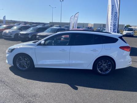 FORD Focus SW 2.0 EcoBlue 150ch ST-Line BVA à vendre à Châteauroux - Image n°8