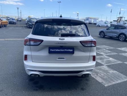 FORD Kuga 2.5 Duratec 190ch FHEV E85 Vignale BVA à vendre à Châteauroux - Image n°6