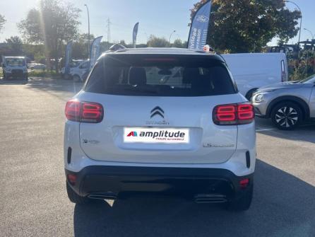 CITROEN C5 Aircross BlueHDi 130ch S&S Shine EAT8 à vendre à Dijon - Image n°6