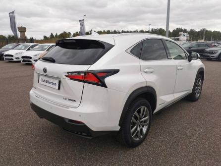 LEXUS NX 300h 4WD Luxe à vendre à Montargis - Image n°5