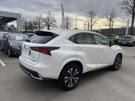 LEXUS NX 300h 2WD Design MY21 à vendre à Beaune - Image n°5